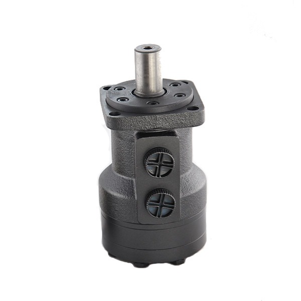 Hydraulic motors view 1